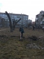 Борьба с листвой за дворовое пространство!