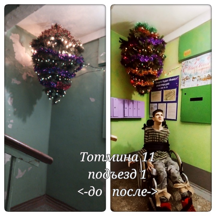 20240227_160128-kdcollage.jpg